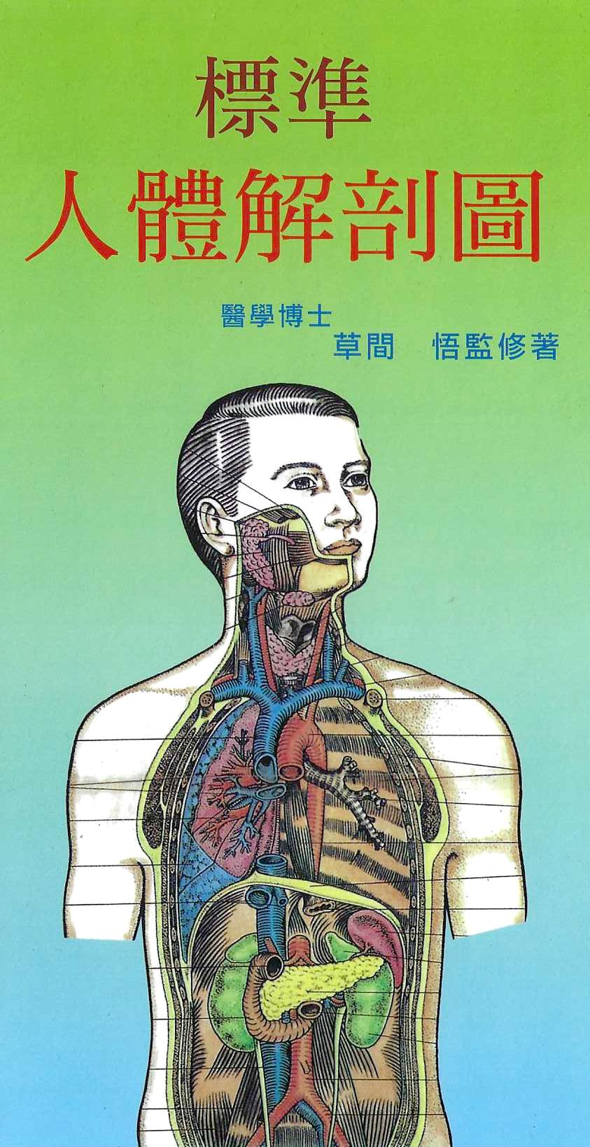 標準人體解剖圖